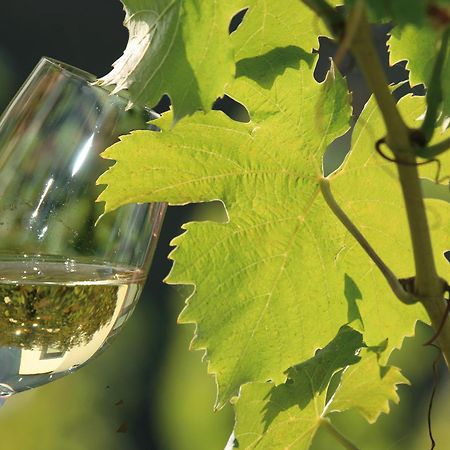 Weingut Rosenbaum Apartment บรีเดล ภายนอก รูปภาพ
