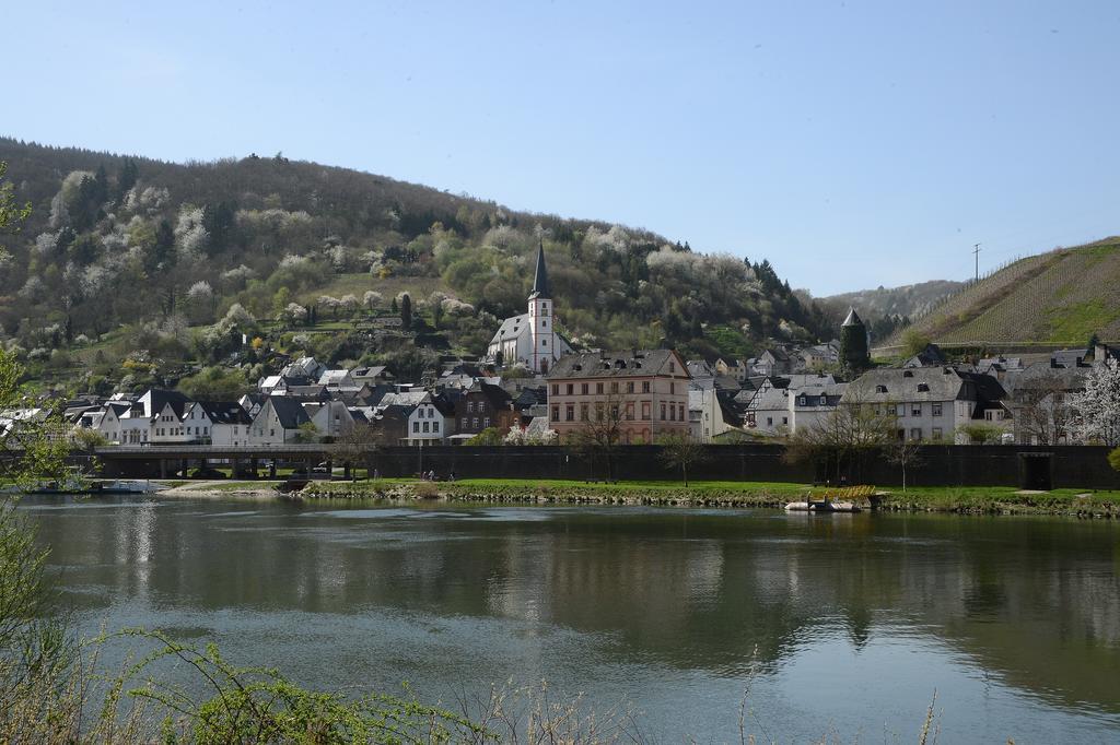 Weingut Rosenbaum Apartment บรีเดล ภายนอก รูปภาพ
