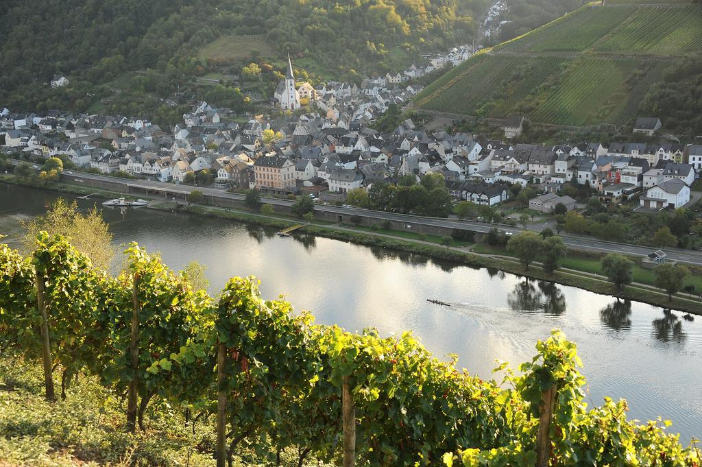 Weingut Rosenbaum Apartment บรีเดล ภายนอก รูปภาพ