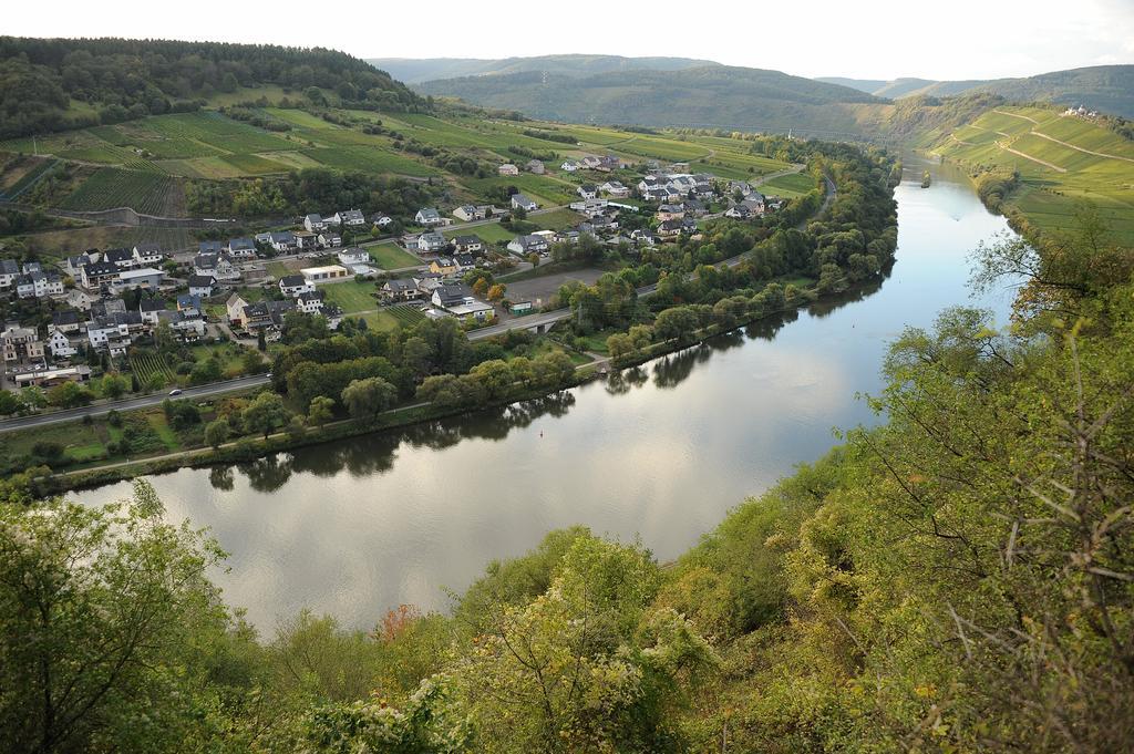 Weingut Rosenbaum Apartment บรีเดล ภายนอก รูปภาพ