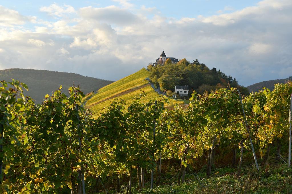Weingut Rosenbaum Apartment บรีเดล ภายนอก รูปภาพ